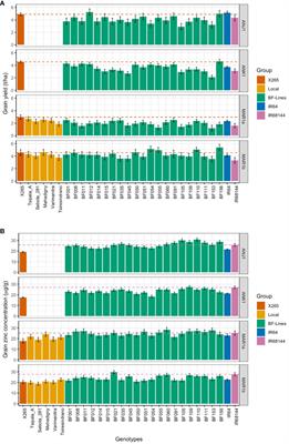 Stability of grain zinc concentrations across lowland rice environments favors zinc biofortification breeding